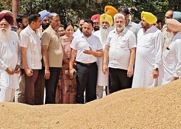 Kataruchak on wheat procurement