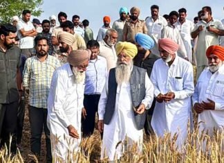 Khuddian agriculture update