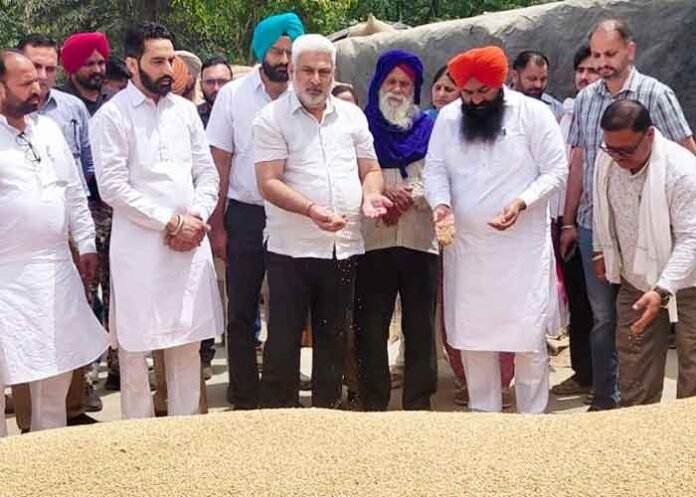 Lal Chand Kataruchak inspects Tanda wheat