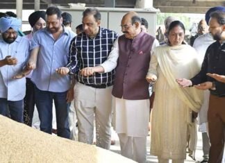 Mohinder Bhagat mandi wheat procurement
