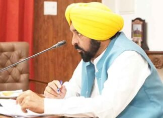 Punjab Cabinet meeting Bhagwant Mann