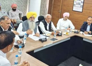 Punjab arhtiyas end strike after talks with ministers
