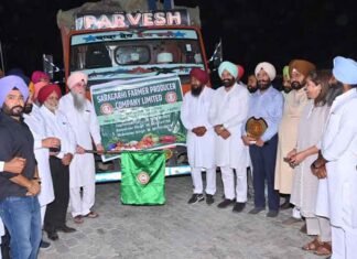 Punjab flags off 15-ton green chilli export