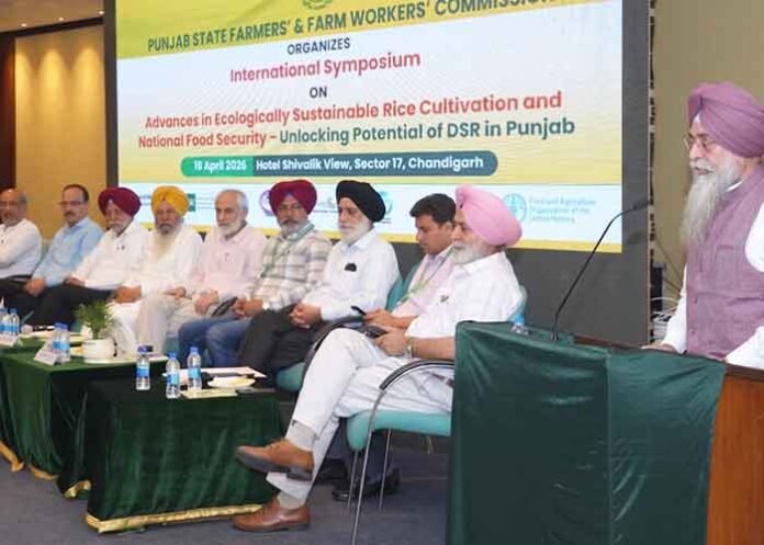 Punjab hosts international symposium