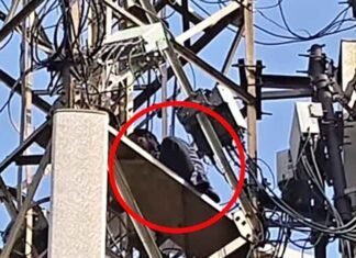 A youth in Jharkhand Giridih climbed a mobile tower