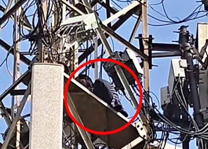 A youth in Jharkhand Giridih climbed a mobile tower