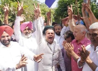 Punjab: AAP wins in 102 civic bodies AAP wins in Punjab civic polls