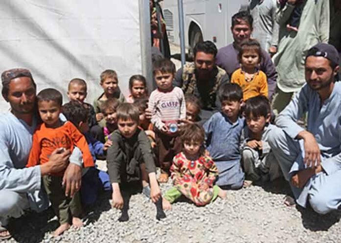 Afghan families selling kids, often daughters, to stay alive