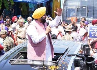 CM Mann Roadshow AAP