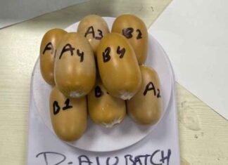 DRI busts gold smuggling syndicate at Mumbai airport, seizes gold worth Rs 4.8 crore