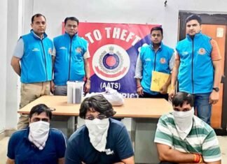 Delhi Police bust online IPL betting racket; three arrested
