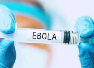 Gujarat quarantines four over suspected Ebola exposure, samples sent for testing Ebola Outbreak