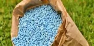 Fertiliser subsidy