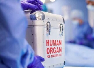 Pakistan’s illegal organ trade forces poorest to act as spare parts for rich: Report Human Organ For Transplant