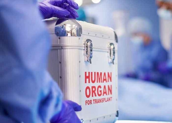 Human Organ For Transplant