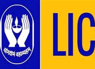 Life Insurance Corporation of India LIC logo