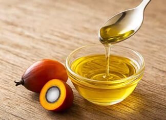 Palm oil shouldn’t be defamed without evidence: Experts Palm oil