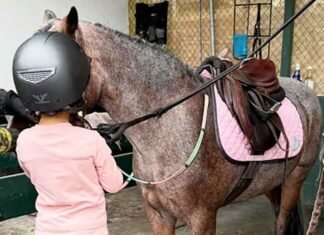Priyanka Chopra shares daughter Malti with horse