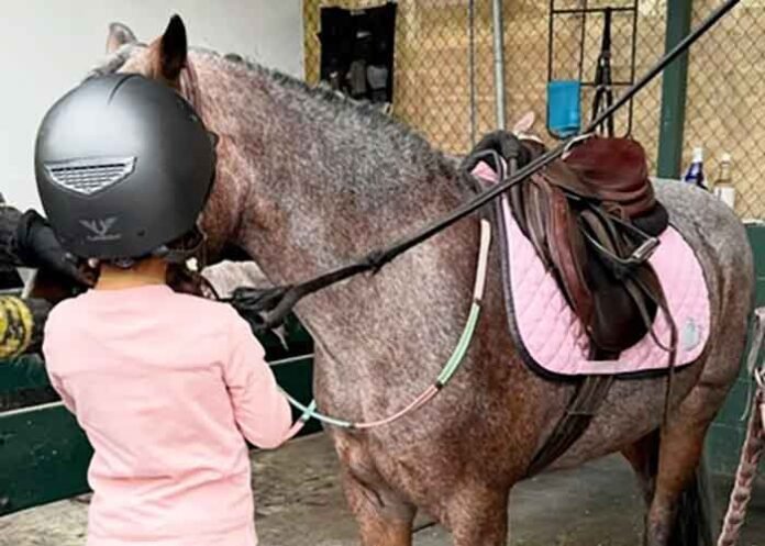 Priyanka Chopra shares daughter Malti with horse