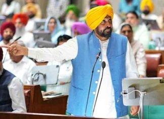 Punjab CM Mann in Assembly