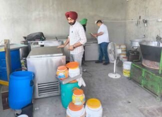 After Milk Sampling Drive, Punjab Govt Launches Paneer Sampling Drive; 211 Samples Collected