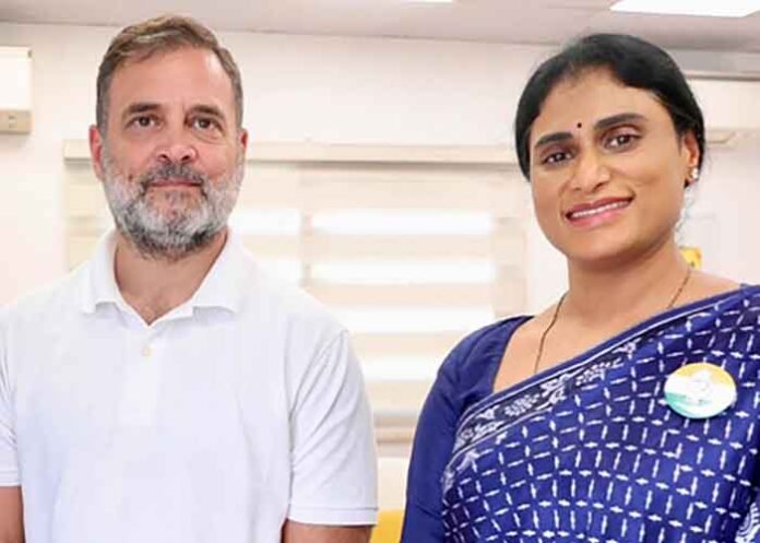 YS Sharmila meets Rahul Gandhi