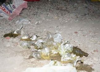Punjab: Miscreants throw petrol bomb at clinic of BJP leader’s husband close to RSS office in Bathinda Bathinda petrol bomb attack