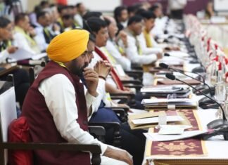 CM Bhagwant Mann Seeks Special Category Status & Special Package for Border Areas from Centre in NITI Aayog Meeting
