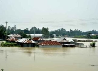 Climate migrants in Bangladesh struggle due to unsafe housing, temporary jobs: Report