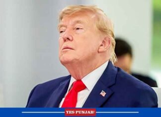 Donald Trump accuses