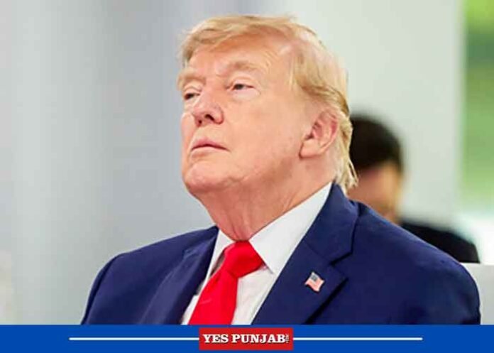 Donald Trump accuses