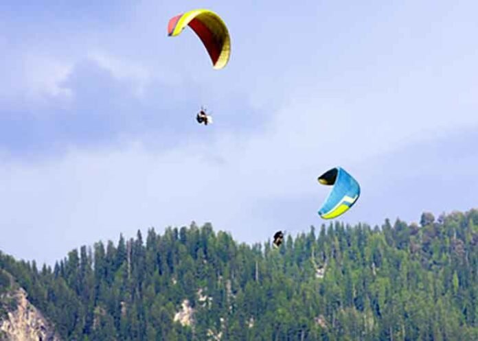Himachal forest bio-resources