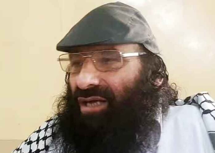 Hizbul Mujahideen chief Syed Salahuddin