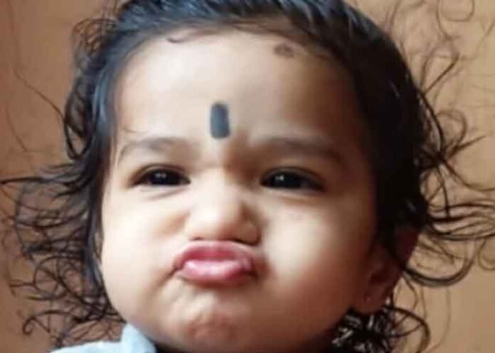 Karnataka Toddler dies coconut fall death