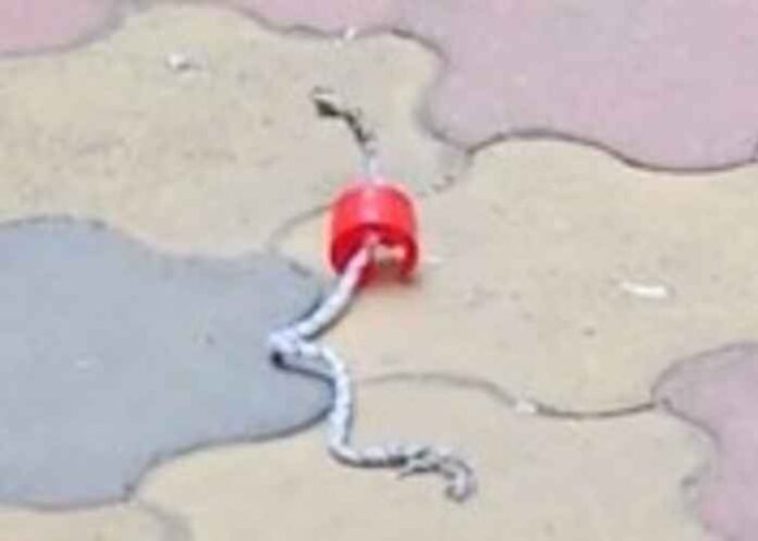 Miscreants hurl two petrol bombs at RSS office