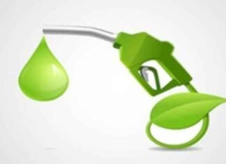 Centre removes excise duty on petrol with up to 30 pc ethanol blending