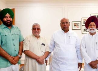 Three Congress MPs From Punjab Meet National President Kharge, Congratulate Him on His 2nd Term as RS Member Punjab Congress MPs meet Mallikarjun Kharge