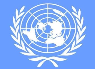 United Nations Logo