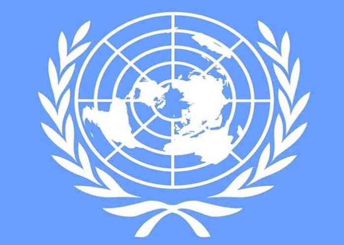 United Nations Logo