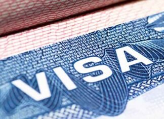 India dominates global visa programmes, ranks as best exporter of high-skilled talent Visa Photo