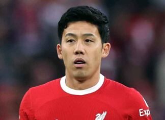 FIFA WC: Japan captain Wataru Endo with foot injury, retires from international football