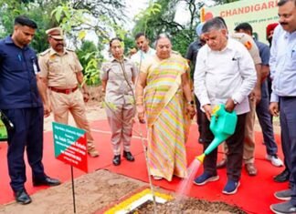 133 Eco Task Force takes part in mega sapling plantation drive in Chandigarh 133 Eco Task Force plants saplings at Chandigarh