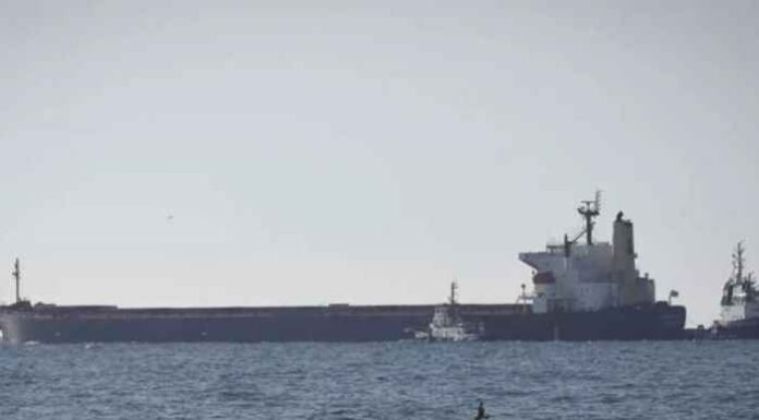 Four Indians killed, one critically injured in attack on cargo vessel off Odesa port in Ukraine: MEA