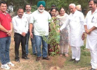 Punjab launches ‘Mission Hariyali 2026’ to plant 9 lakh saplings across State Barinder Goyal launches Mission Hariyali