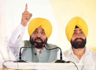 Punjab’s Journey to Become No.1 in Every Sector Will Continue With Support of People: CM Bhagwant Mann CM Mann highlights Punjab