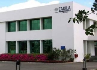 Maharashtra FDA bars sale of Cadila Pharmaceuticals drugs, seizes Rs 2.45 crore stock