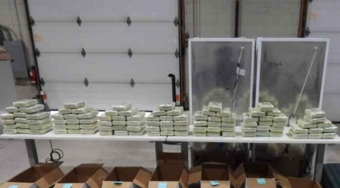 Indians Among 13 South Asians Arrested in Canada’s Biggest Drug Bust; 1.7 Tonnes of Narcotics Seized Canada busts major cross-border drug network