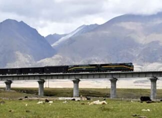 Chinese projects in Tibet damaging local environment Chinese projects