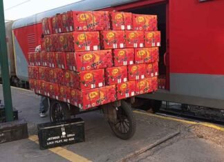Punjab Emerges as Key Rail-Based Fruit Transport Hub, Ferozepur Division Sets New Records in Perishable Cargo Movement Ferozpur Railway Division boosts fruit freight