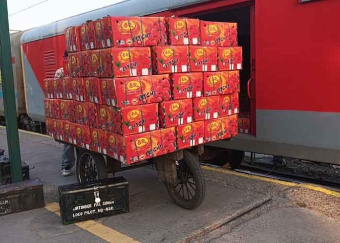 Ferozpur Railway Division boosts fruit freight